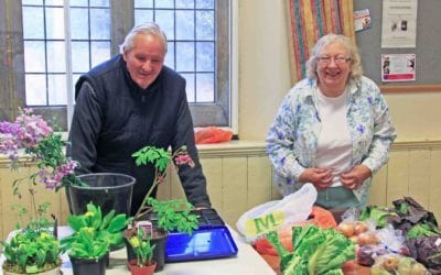 Anson Veg retiring from Markets