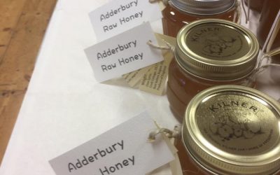 Gino’s Honey